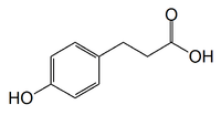 Chemical structure of phloretic acid