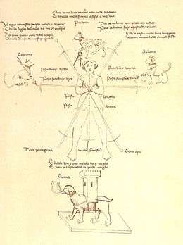 The sette spade Diagram from the Pisani facsimile of the Flos Duellatorum (fol. 17A). The four animals symbolize prudence (lynx),  celerity (tiger), audacity (lion), and fortitude (elephant).