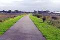 Port Fairy Warrnambool Rail Trail 4 Stevage.jpg