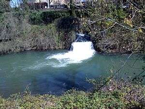 A narrow stream with foamy water emptying into rather slow-moving Pringle Creek, of which the water looks green/blue