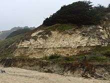 An image from San Gregorio State Beach in California showing a cliff face of exposed sandstone which is part of the Purisima Formation.