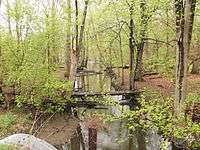 Redinger Ditch near Talma, Indiana