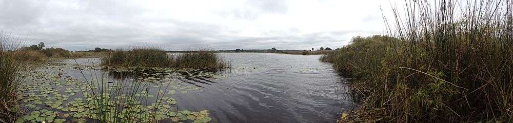 Hiking the Florida National Scenic Trail  in St. Marks National Wildlife Refuge.