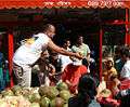 Taj Stores Coconuts.jpg