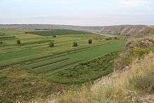 a farming field