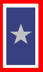 The_Silver_Star_Service_Banner.jpg