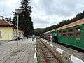 Train of Septemvri-Dobrinishte narrow gauge line 15.JPG