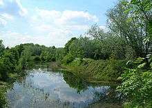 A large pond with abundant vegetation and trees surrounding it