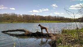 Johnson-Sauk Trail lake