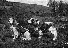 "A black and white photograph of a dog in two poses in profile, one is standing and one is sitting."