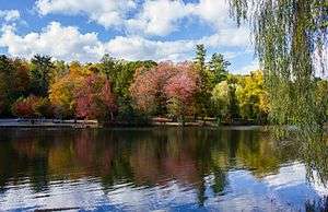 A small lake in front of autumn-foliage trees