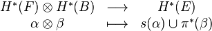 \begin{array}{ccc}
H^* (F)\otimes H^*(B) & \longrightarrow & H^* (E) \\
\alpha \otimes \beta & \longmapsto & s (\alpha)\cup \pi^*(\beta) 
\end{array}