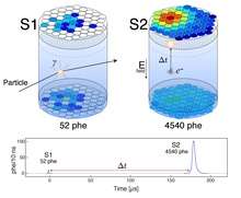 A particle interaction in the LUX detector